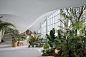 interior shot of massive restaurant with undulating white surfaces and a forest of plants