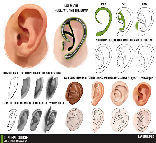 Ear Tutorial Resourc...