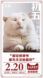 一文看懂：天猫狗年如何玩转“猫营销” : 地铁变身“猫奴车站”，喵的眼神已锁定你噜 近日全国多个地铁站，摇身一变成了“猫奴车站”。车站到处都是猫咪的大幅海报，有的猫以“主子”的眼神注视着你，有的猫则是懒洋洋地睡在沙发上。 海报文案也非常有趣，如