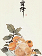国风猫咪不同节气的肥猫别有一番韵味