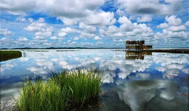 美到窒息的花湖，犹如神仙住的地方，想去～