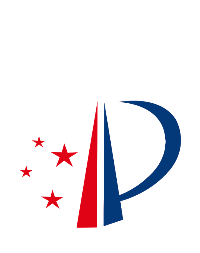 专利icon
