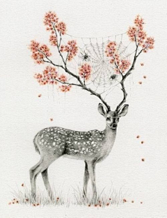 此岸是彼岸采集到Deers