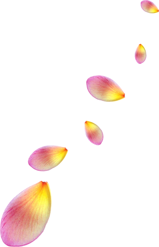 点击查看大图 [F]