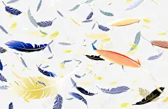 羽毛 鲜花 元素 免抠png 设计图片 免费下载 页面网页 平面电商 创意素材