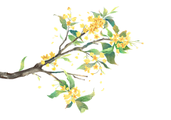Emmanuel★quot;采集到植物