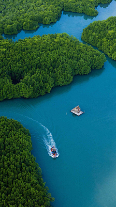 yibei凉茶采集到背景