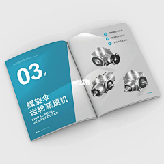 Blurmilk采集到【A】 画册设计