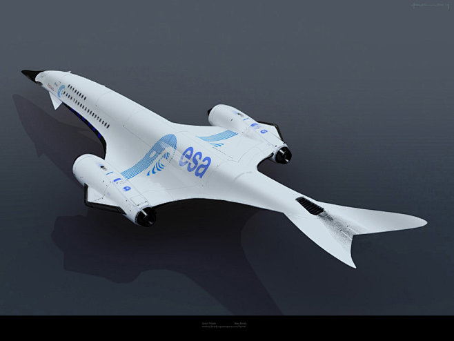 Snowgoose spaceplane...