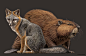 Quarry Hill Nature Center | Minnesota Mammals : Life sized realistic illustrations of native mammals in a painterly style.