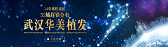 长的磕碜又没钱采集到植发