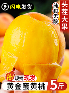 YD2023采集到DSH采集
