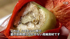 蝶舞飞扬--3456采集到日本料理