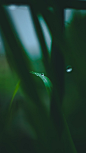 Photo by Pinakeen Bhatt on Unsplash : water drops of fresh rain. Download this photo by Pinakeen Bhatt on Unsplash