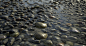 Riverbed stones, Steve Holt : Study of some smooth washed  river stones. Also a study into how to achieve a believable translucency in designer for the water. 100% all done in Substance Designer.