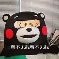 #熊本熊表情包# #熊本熊# #表情包# #表情排行榜#