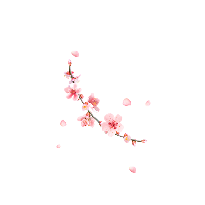 桃花