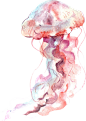 水彩手绘海底生物小丑鱼水母珊瑚海星鲸鱼免抠PNG图案平面PS素材 (69)