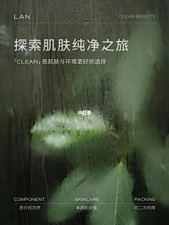 我每天都想睡觉O采集到花 叶子 影子