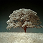 A Showcase of Infrared Photography