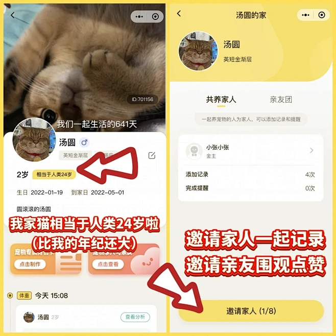 我为什么没早点发现这么好用的养宠App ...