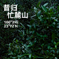 山系·斗笠帽[主动设计米田整理]