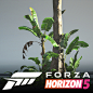 Forza Horizo​​n 5 - 植被资源