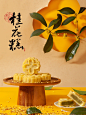 常见中秋月丨闻一缕桂花香