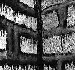 peggysuns采集到Brett Weston
