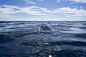 sea ​​surface wave seascape water motion sky and waves surge