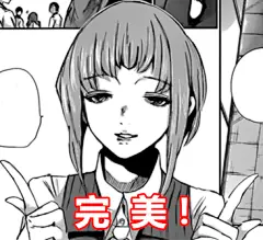 完美表情包动漫