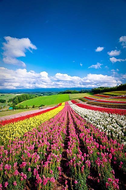 Hokkaido, Japan: 