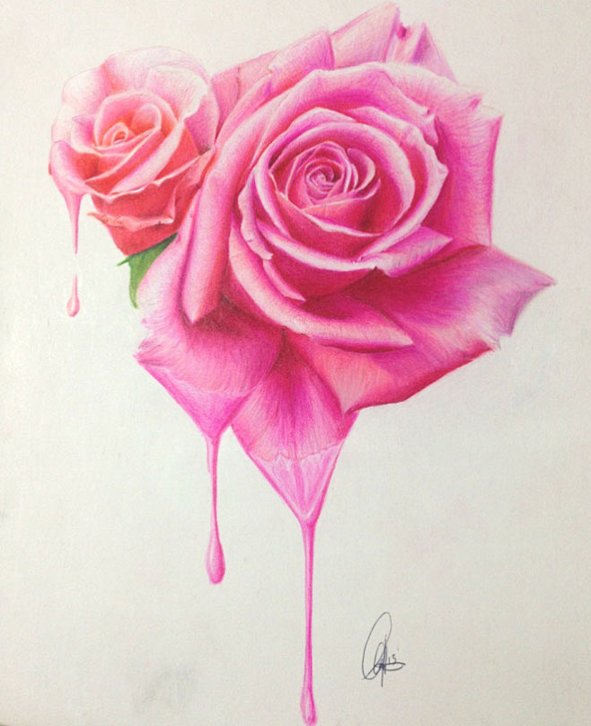 25个漂亮的玫瑰花绘画作品欣赏