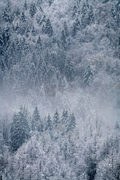 亚力山大芙采集到雪景