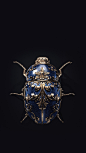 Jewel insects : In this series I wanted to depict whimsical nature of insects as a pieces of handmade metalwork. Software used is in this project cinema 4d, zbrush and arnold render. I wanted to mention how much fun was to play with Arnold Flake material