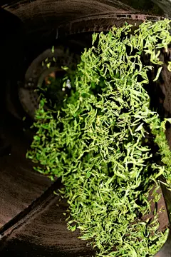 翻滚的茶叶&lt;br /&gt;
