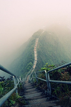 猫屎采集到未知的世界。流逝的时间