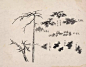 【  传统 · 国画教程 …  】