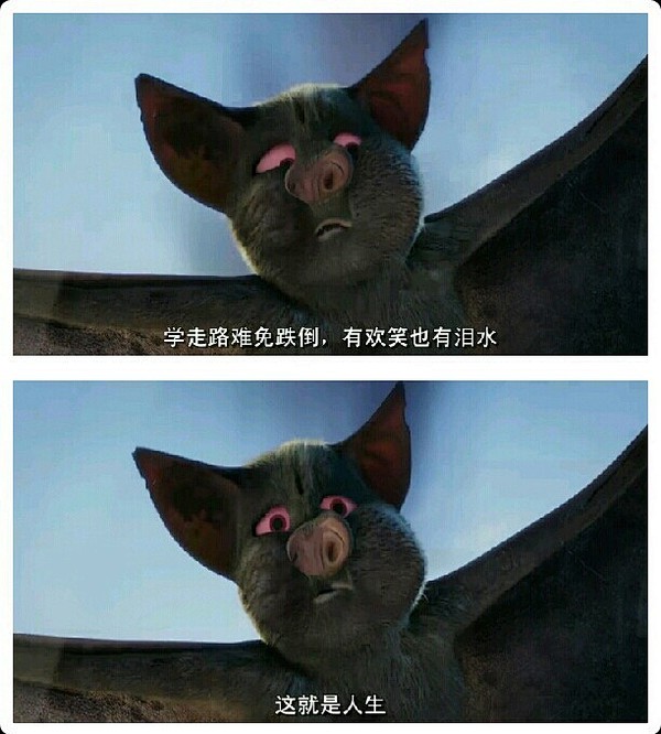 有哪些祝福鼓励和赞美的电影台词截图? -...