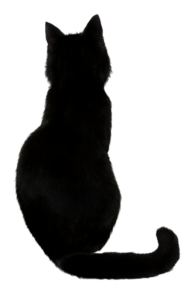 猫PNG
