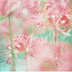 photo #春暖花开#