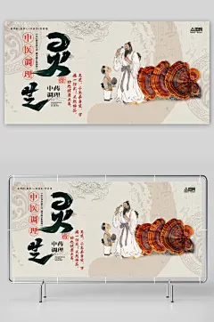 名贵中药材灵芝展板