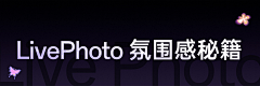 屁格歪采集到OPPO_Reno13