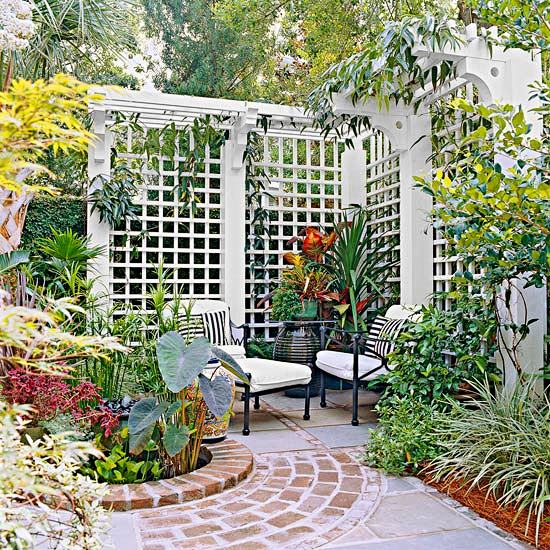 Trellis Design Ideas...