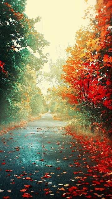 风的色彩，秋知道；秋的心语，雨知晓；雨的...
