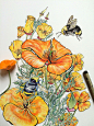 Colorful Studies of an Artist's Hands Layered With Flowers and Bees : Artist Noel Badges Pugh (previously) creates studies of his own hands mixed with drawings of flowers and bees, adding color to the works with both watercolor and India ink. Pugh often p