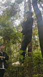未标题-1
