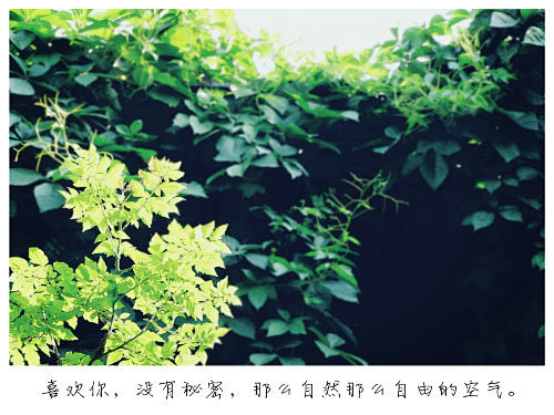江一燕《七月》