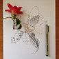 植物笔记。一花盛开一世界。丨来自插画艺术家Noel Badges Pugh