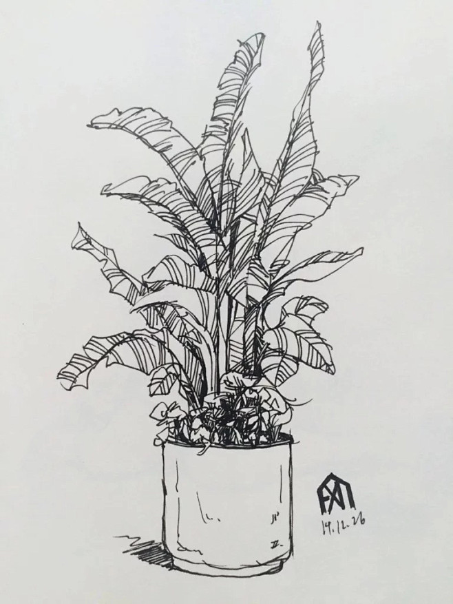 植物盆栽速写图片展示_植物盆栽速写图片下...